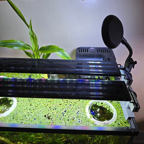 Aquarium Hydroponic Light Risers Staggered Teared Extended Dual Tab Rimmed Tanks - Picture 2 of 16